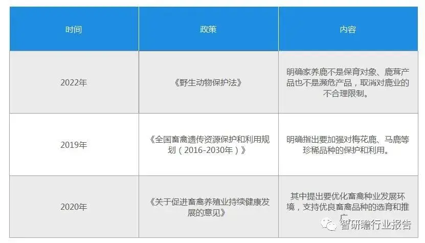 养殖黄牛技术视频_养殖黄牛技术要求_黄牛的养殖技术