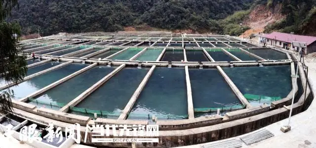 江口闵孝：打造水产重镇 助推乡村振兴
