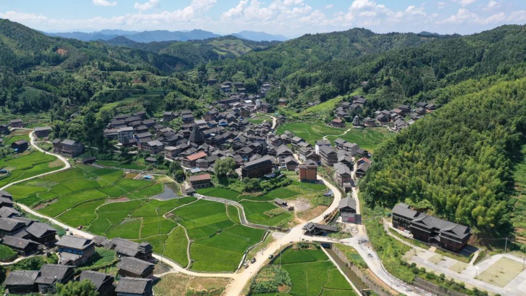 致富美食种植项目简介_2020年致富项目大全小吃_美食种植致富项目