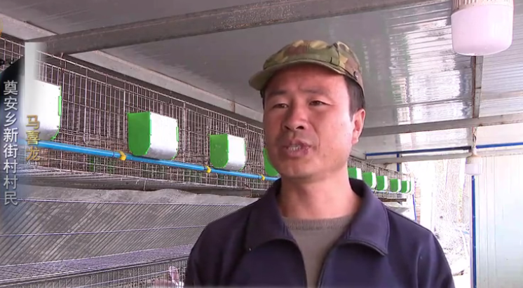 养殖兔子致富项目_养兔子致富经_致富养殖兔子项目名称