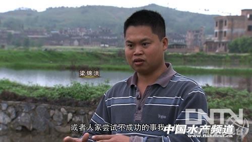 养殖龙鱼利润空间_致富经龙鱼养殖视频_养鱼视频致富经