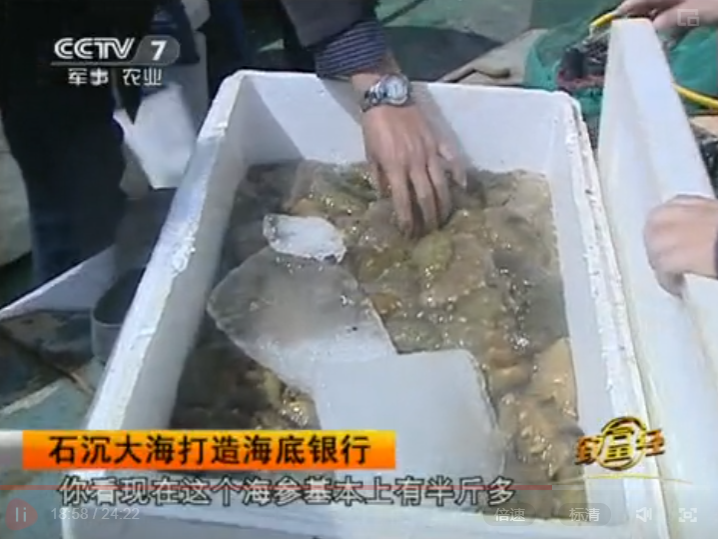 致富年代小说_2005年致富经_致富年代文男主视角