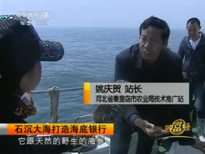 致富年代小说_致富年代文男主视角_2005年致富经