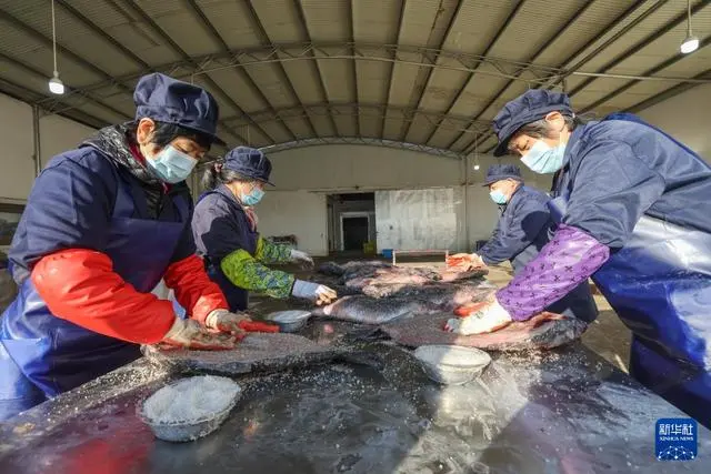 青鱼养殖利润怎样_致富养殖青鱼图片_养殖青鱼致富