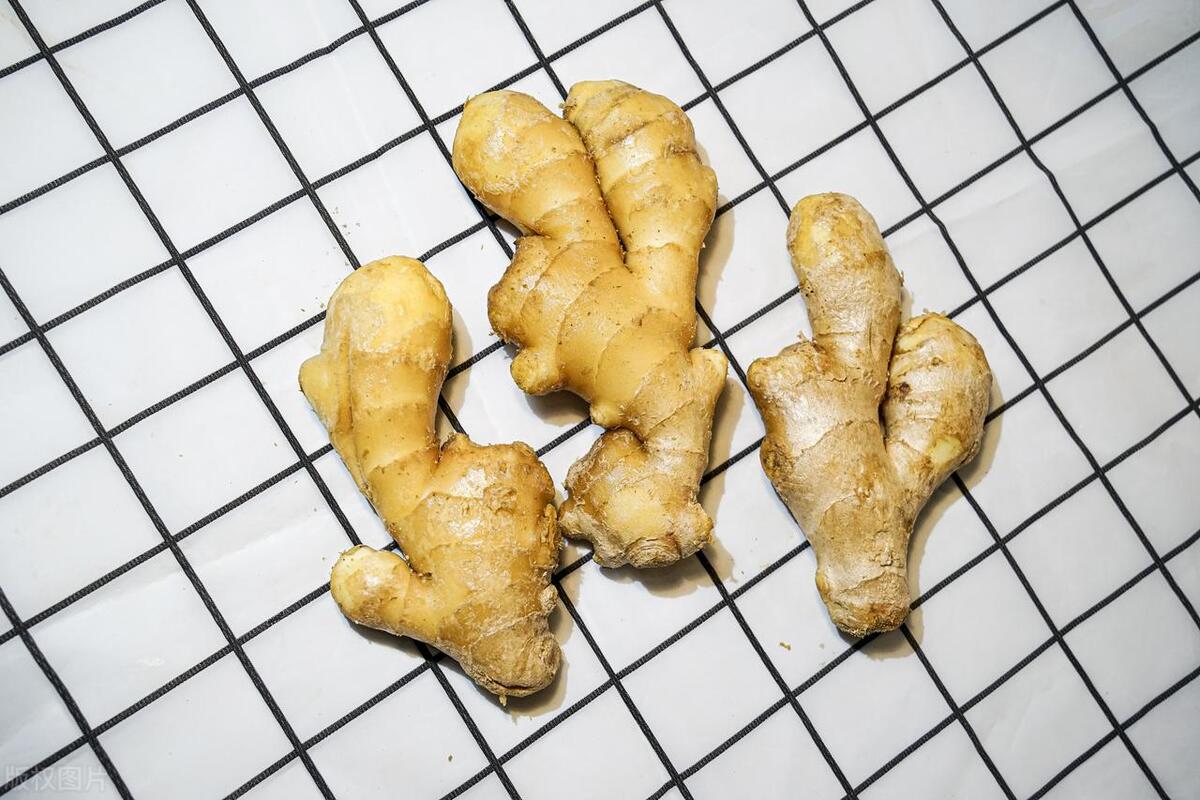 种姜新技术_黑姜种植技术_黑姜种植技术视频