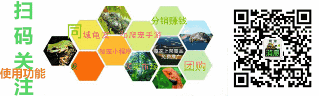给国爬正规化提一些建议