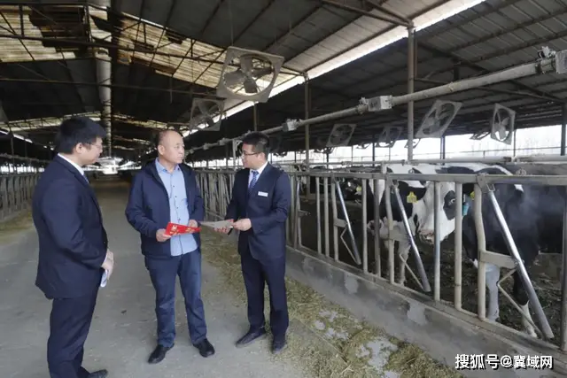 廊坊优质银行经验服务中心_廊坊优质银行经验服务有哪些_廊坊银行优质服务经验