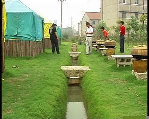 湖南泥鳅养殖技术_致富湖南泥鳅养殖视频_致富经湖南养泥鳅