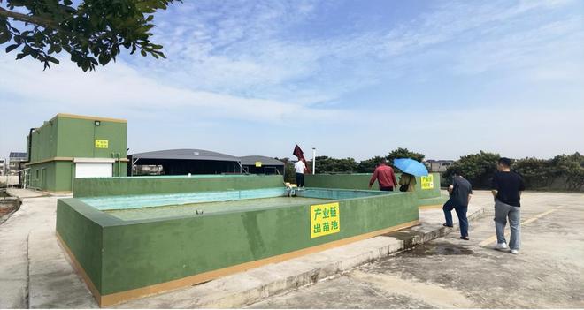 致富养殖青鱼视频_致富养殖青鱼图片_养殖青鱼致富