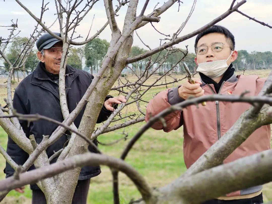 无花果树施肥视频_致富经无花果施肥视频_无花果施肥技术
