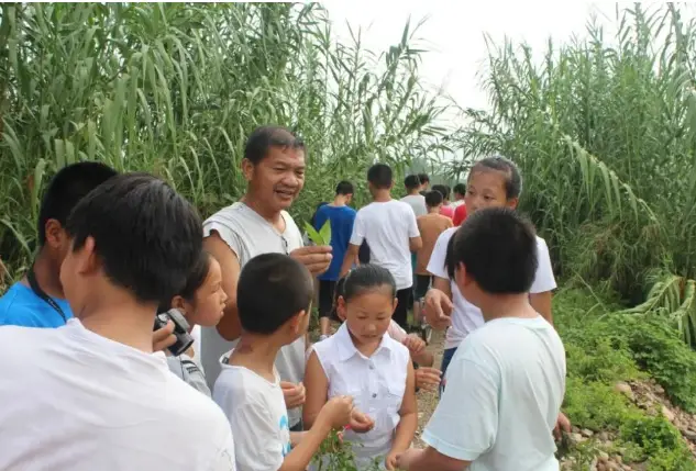 天台种植致富_天台种植蔬菜_天台种植设计图