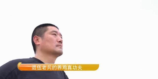 致富养鸡好段_cctv 致富经养鸡_2019年致富经养鸡视频