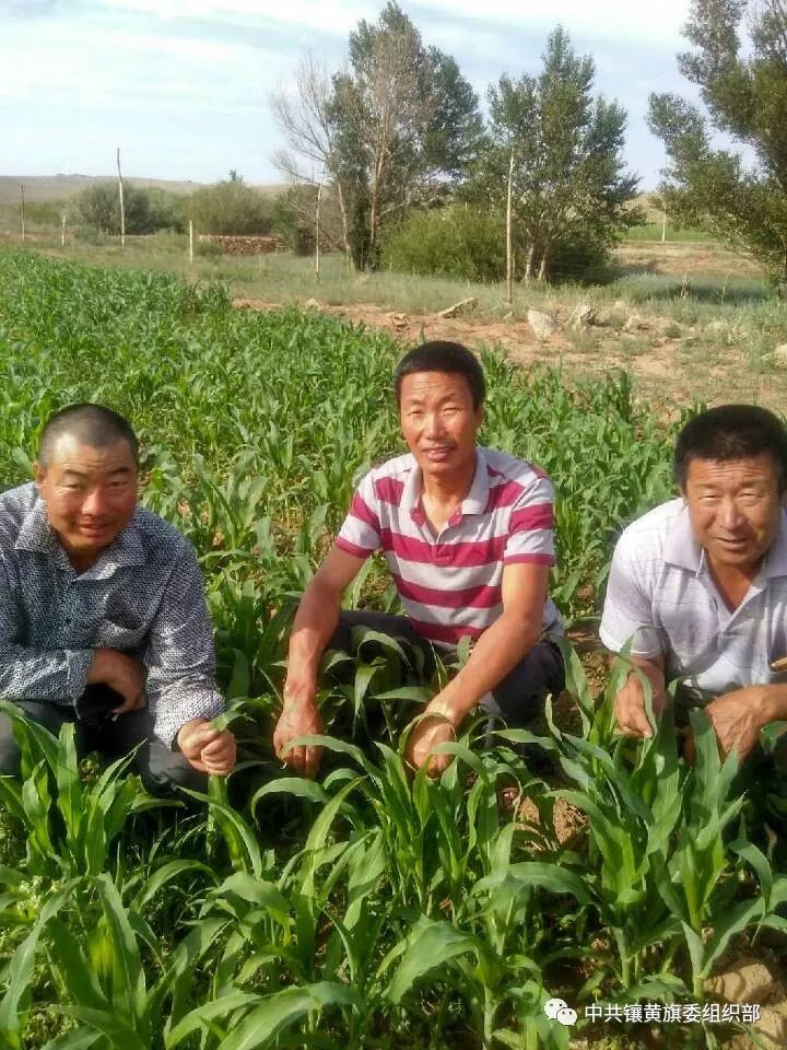 养殖致富能手事迹材料范文_牧民 养殖 致富能手_致富养殖业