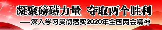 种植竹荪致富纪实_竹荪种植骗局_致富经竹荪种植视频