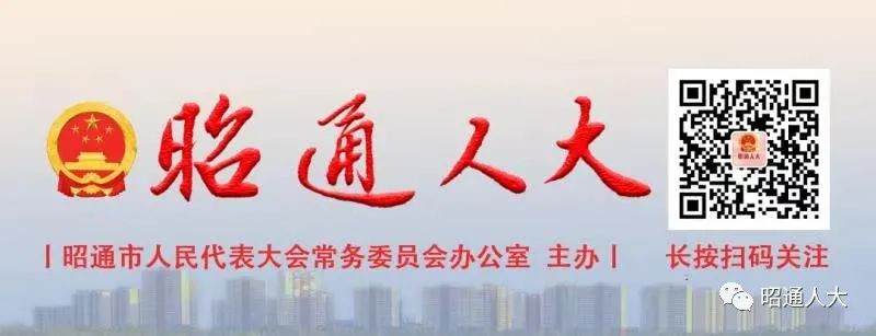 种植竹荪赚钱吗_致富经竹荪种植视频_种植竹荪致富纪实