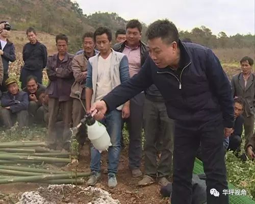 致富经花椒种植技术_致富花椒种植技术与管理_致富花椒种植技术视频