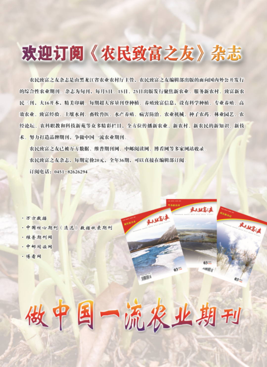 致富经花椒种植技术_花椒致富路_致富经种花椒