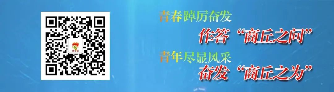河南商丘种植经济作物_商丘农民种植致富经验_河南商丘种植什么农作物