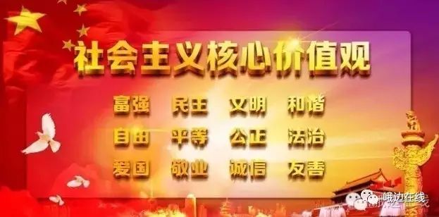 致富经生姜种殖_致富经生姜种植技术视频_生姜种植致富