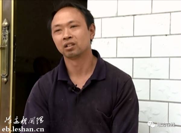 致富经生姜种植技术视频_致富经生姜种殖_生姜种植致富