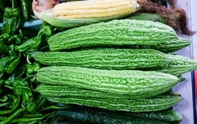 苦瓜种植技术与管理_苦瓜种植技术与管理法视频_苦瓜的种植技术