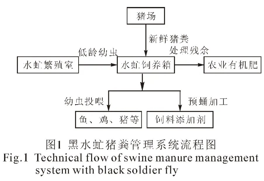蝇蛆养殖技术视频_蝇虫养殖技术视频_养殖蛆视频