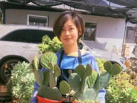 致富养殖寿光项目中标公告_寿光养殖致富项目_致富养殖寿光项目招标