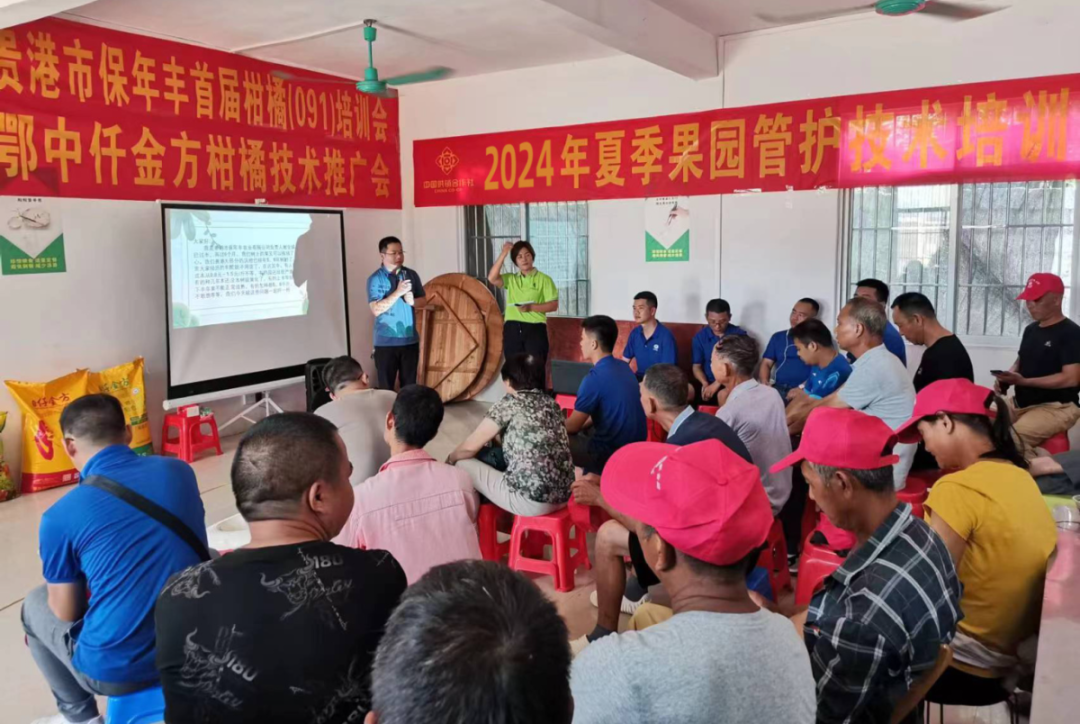 农村致富网种植_致富经农业种植_农民致富网种植业