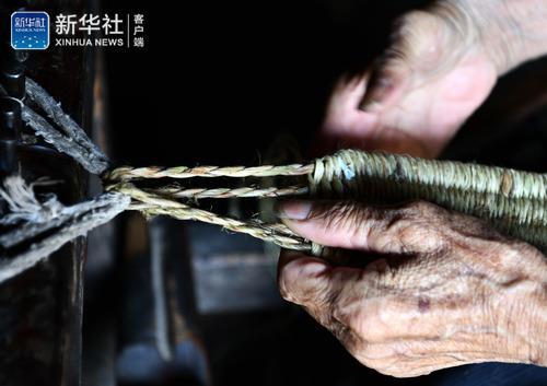 养水草的作用_致富水草养有哪些品种_致富经有养水草的吗