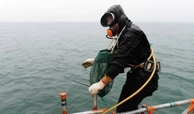 福建海参养殖群的微信号_致富经福建的海参养殖_致富经海参养殖视频