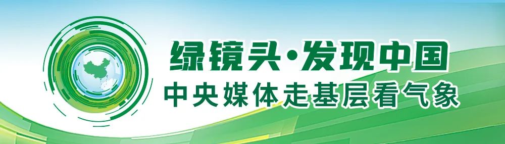 金鳟鱼养殖池塘规划_金鳟鱼的养殖_金鳟鱼养殖技术
