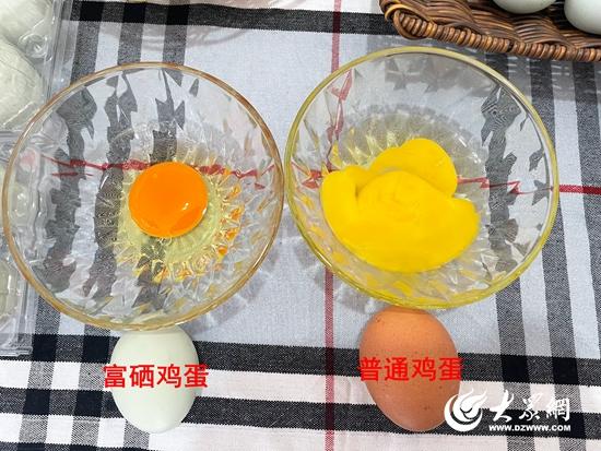 致富经养黑乌鸡全视频_黑羽乌鸡致富经_黑羽乌鸡价格
