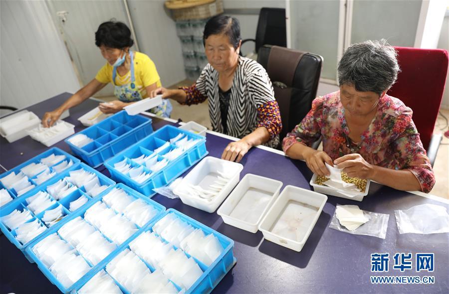 养殖豆青虫的技术_豆虫的人工养殖_豆虫养殖前景