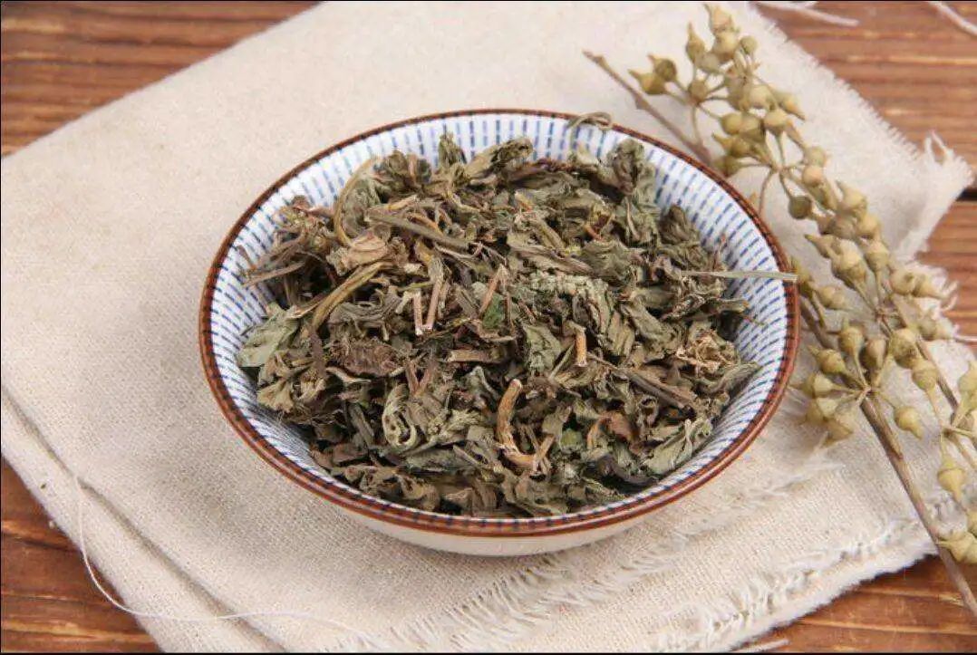 草种种植技术_草的种植_车前草的种植技术