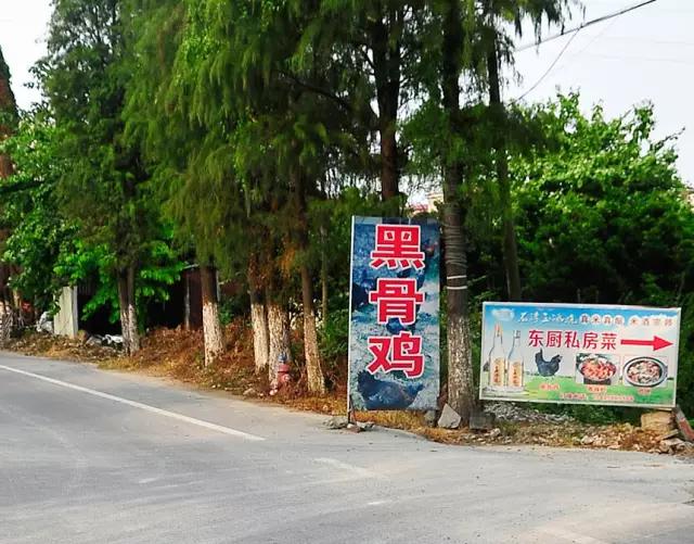 乌鸡致富经_黑羽乌鸡致富经_致富经养黑乌鸡全视频