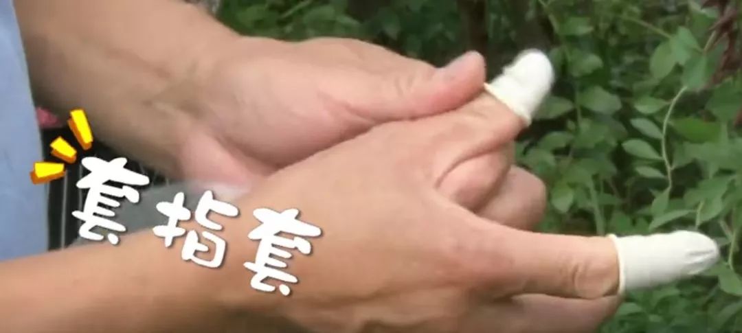 cctv7致富经养蜜蜂_致富经蜜蜂视频全集_央视致富经蜂巢蜜