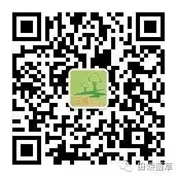 灵芝菇栽培技术_灵芝菇养殖技术_灵芝菌养殖