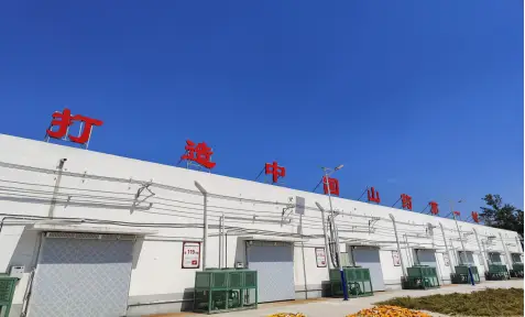 种植牡丹致富_牡丹种植效益_牡丹致富种植方法