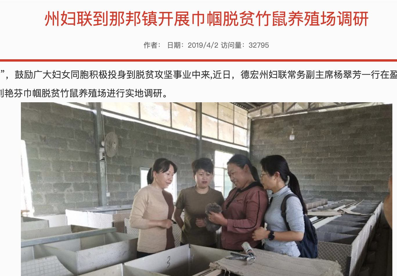 广西竹鼠梁秋波_梁秋波竹鼠养殖合作社_致富经竹鼠梁秋波