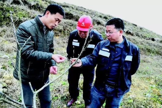 致富养殖项目有哪些_60岁养殖致富项目_致富养殖项目介绍