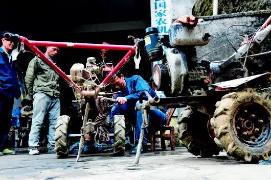 60岁养殖致富项目_致富养殖项目有哪些_致富养殖项目介绍