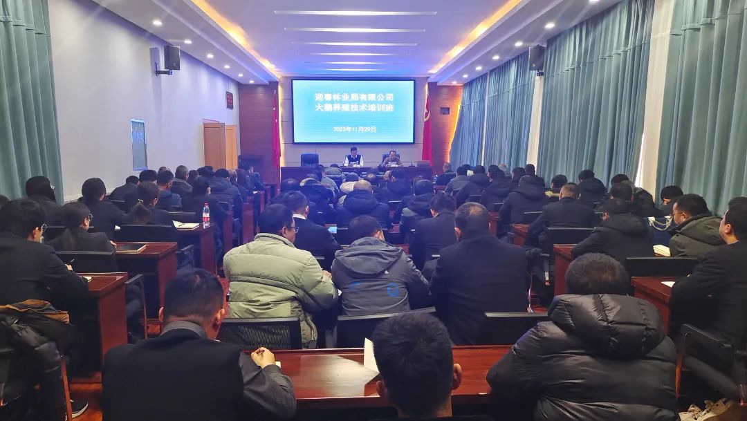 鹅的养殖方法和技术_鹅养殖方法技术有哪些_鹅养殖方法技术与管理