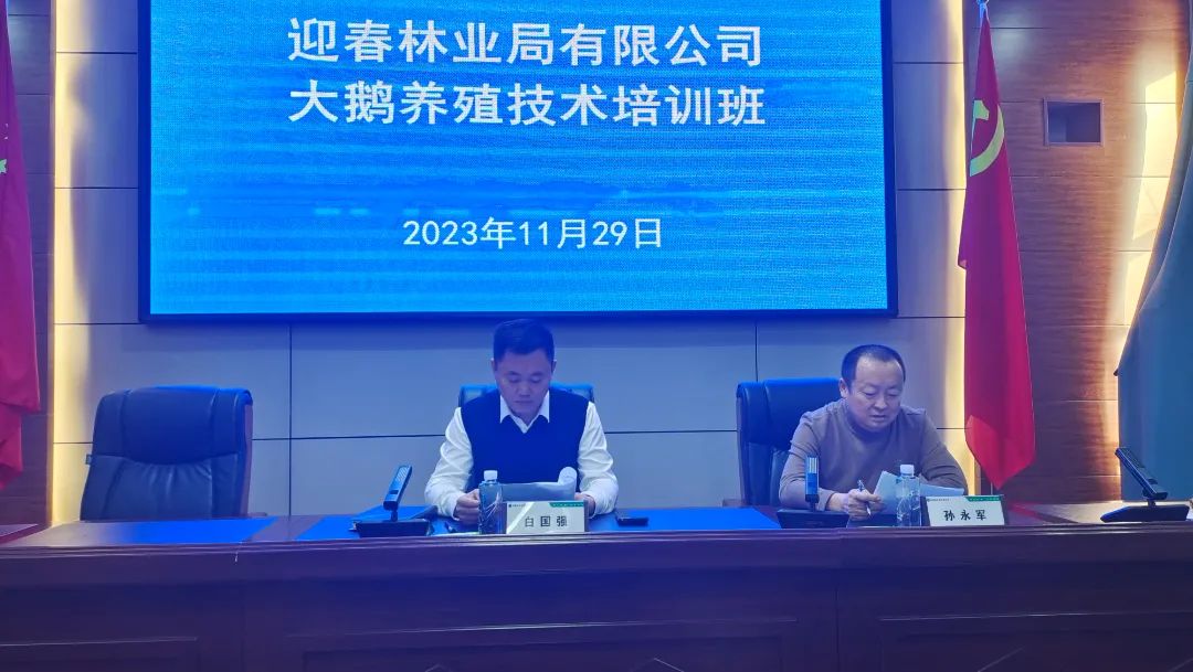 鹅养殖方法技术有哪些_鹅的养殖方法和技术_鹅养殖方法技术与管理