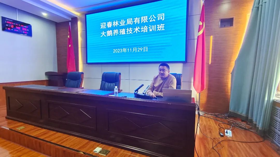 鹅养殖方法技术与管理_鹅养殖方法技术有哪些_鹅的养殖方法和技术