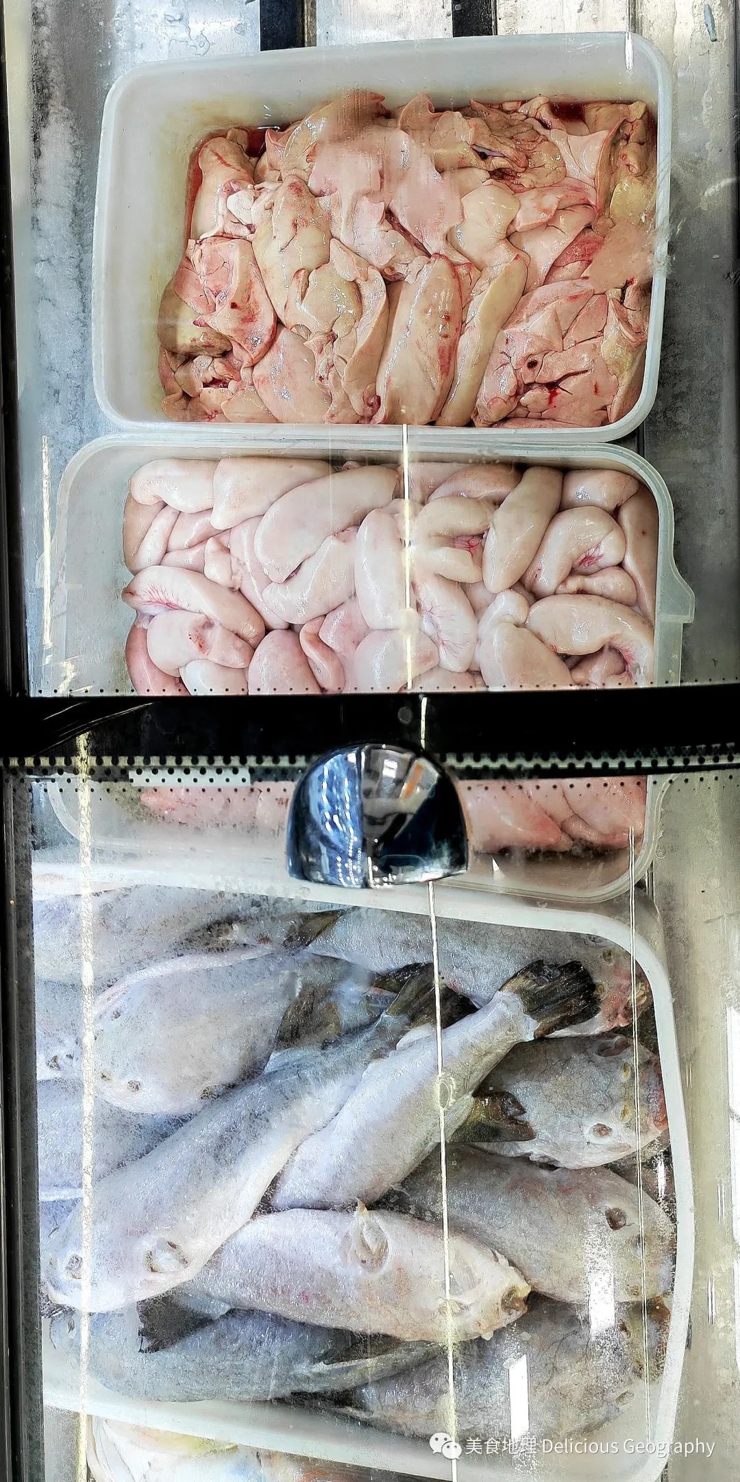 河豚哪里有养殖技术_养殖河豚技术有前途吗_养殖河豚需要什么条件