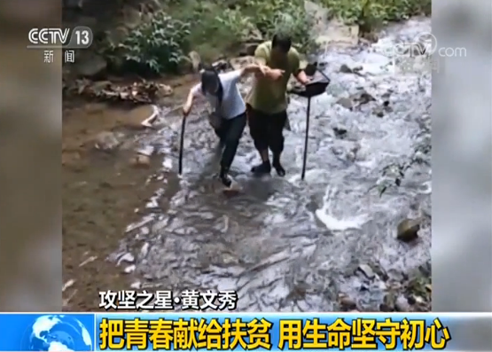 种植黄精致富带头_种植黄精致富带头_种植黄精致富带头