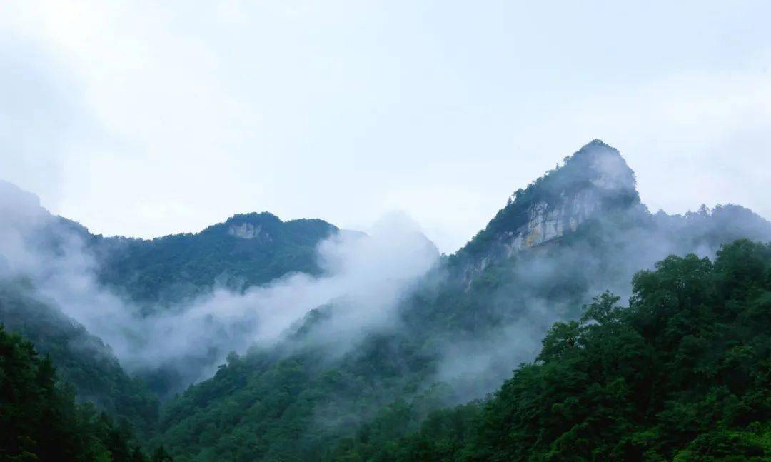 致富种植什么比较赚大钱_农村致富种_种植致富的路在哪里