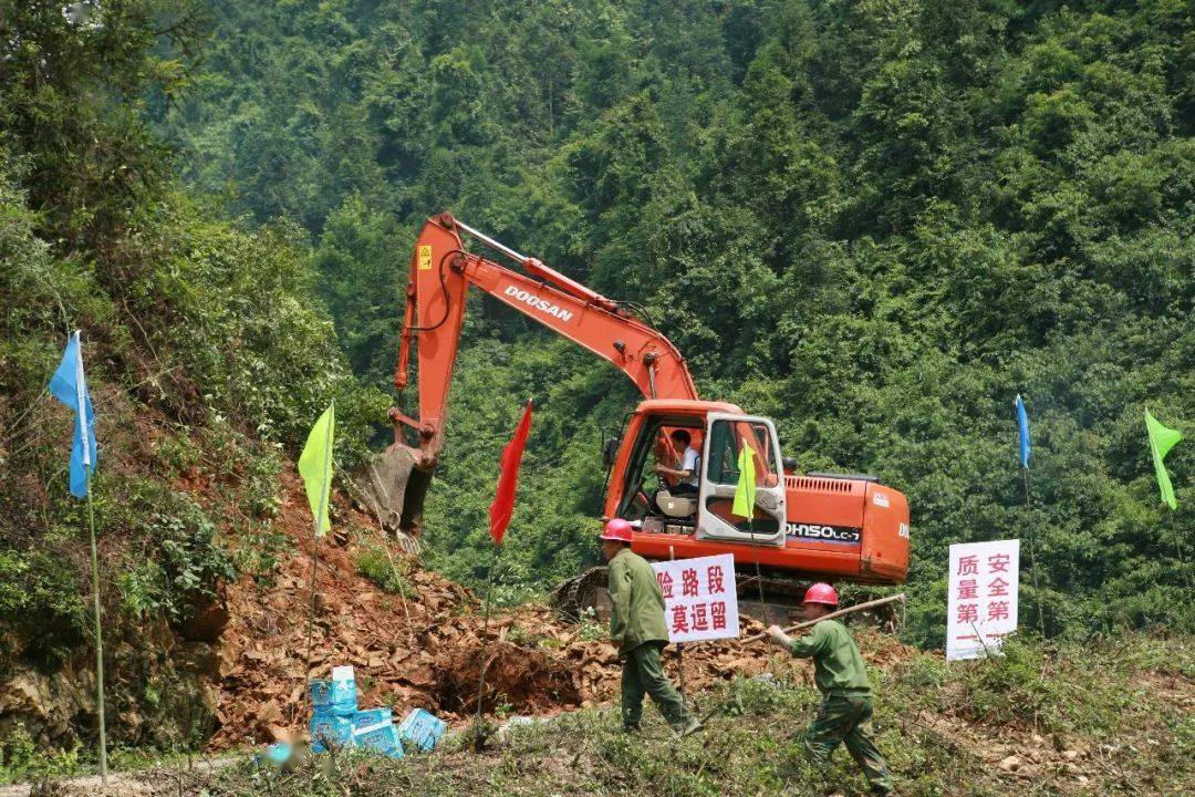 致富种植什么比较赚大钱_种植致富的路在哪里_农村致富种