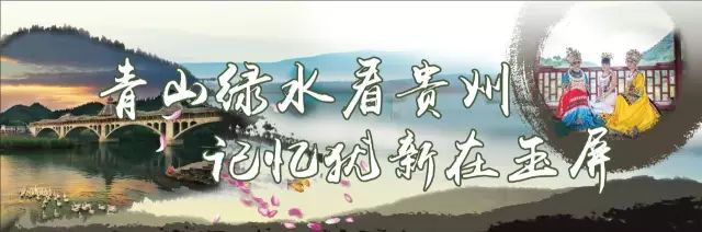 种菇子，玉屏致富的好路子
