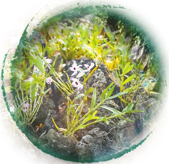 致富经洪钢炉_致富经荣红卫_洪钢炉限制消费